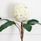 26in. Artificial King Protea Flower Stems - Set of 4